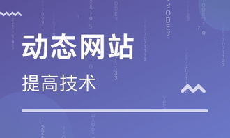天津網(wǎng)站建站培訓(xùn) 天津動(dòng)態(tài)網(wǎng)站后臺(tái)開發(fā)班 天津先鋒科教職業(yè)培訓(xùn)學(xué)校